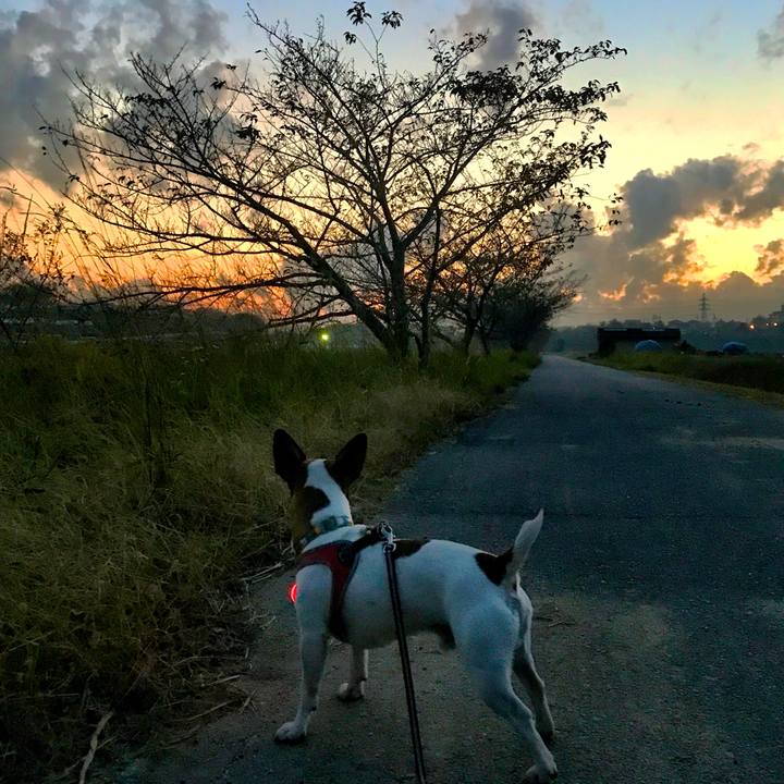 C82a0136 0f2f 43c8 891f 7171ebf41340 1510566108442