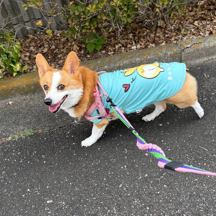 C82a3f1e 0eaf 4edb a9c6 0f42a346758d 1759539972814