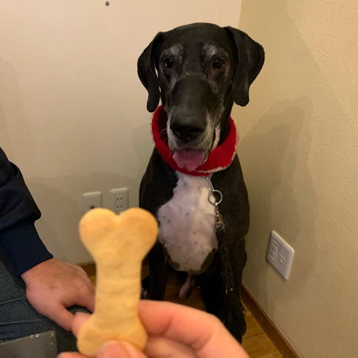 C82a5648 a2c2 4183 a91f 8bae674608d9 1551499102591