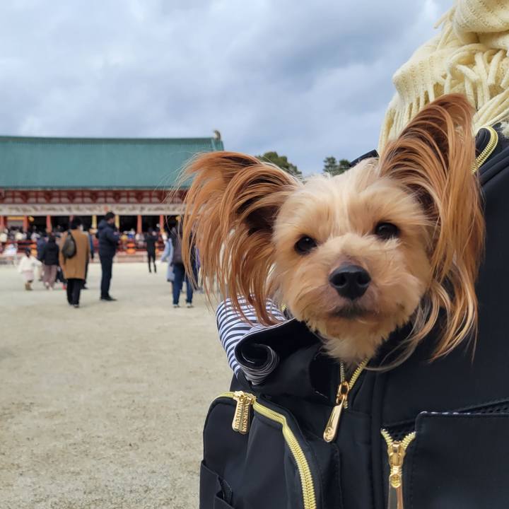 C82a95b3 91e6 41ad aa41 1e854422b692 1641210654148