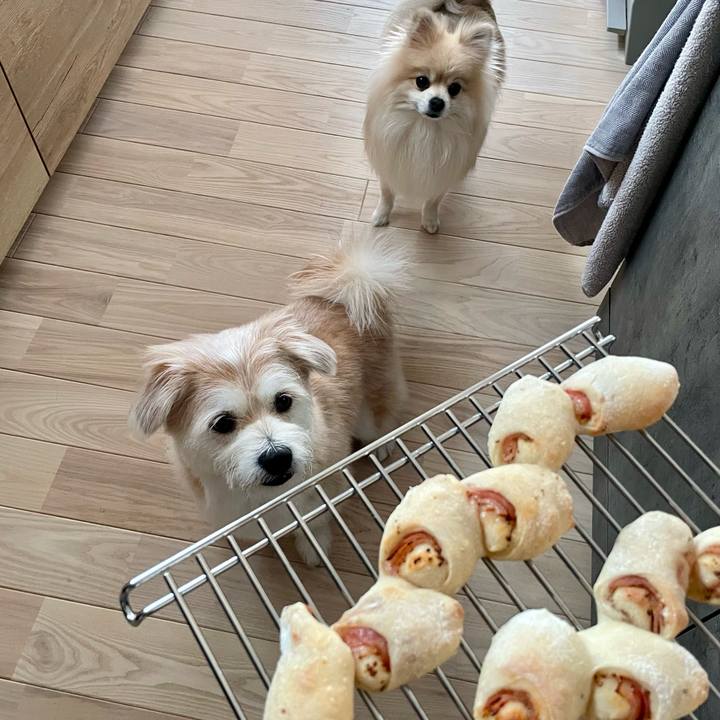 C82aa5ae be7c 4a50 9b8c 8084048664a3 1773783594708