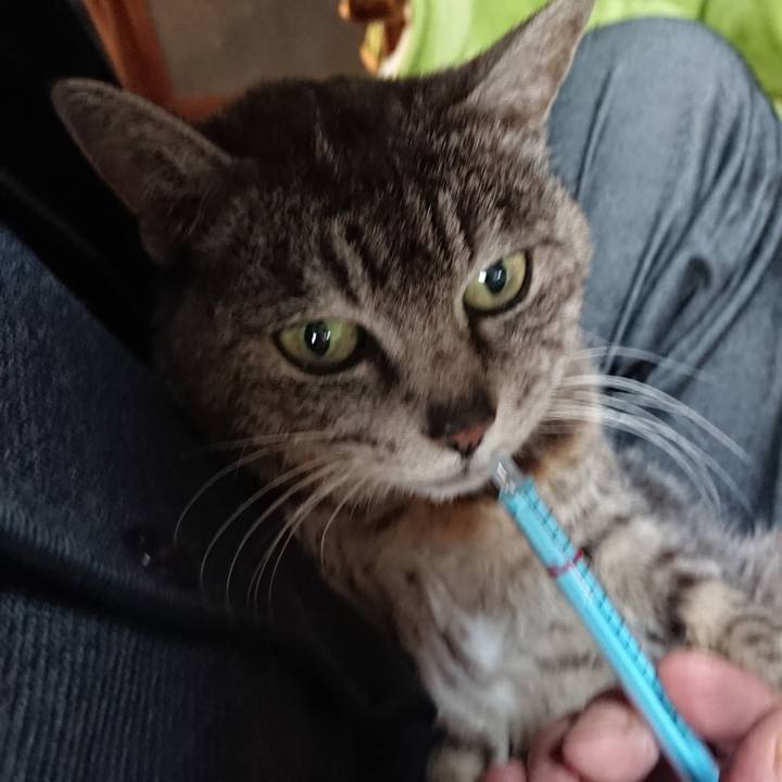 C82b08c1 8b2a 44e3 8f37 f3ef82e2cffc 1588196773057