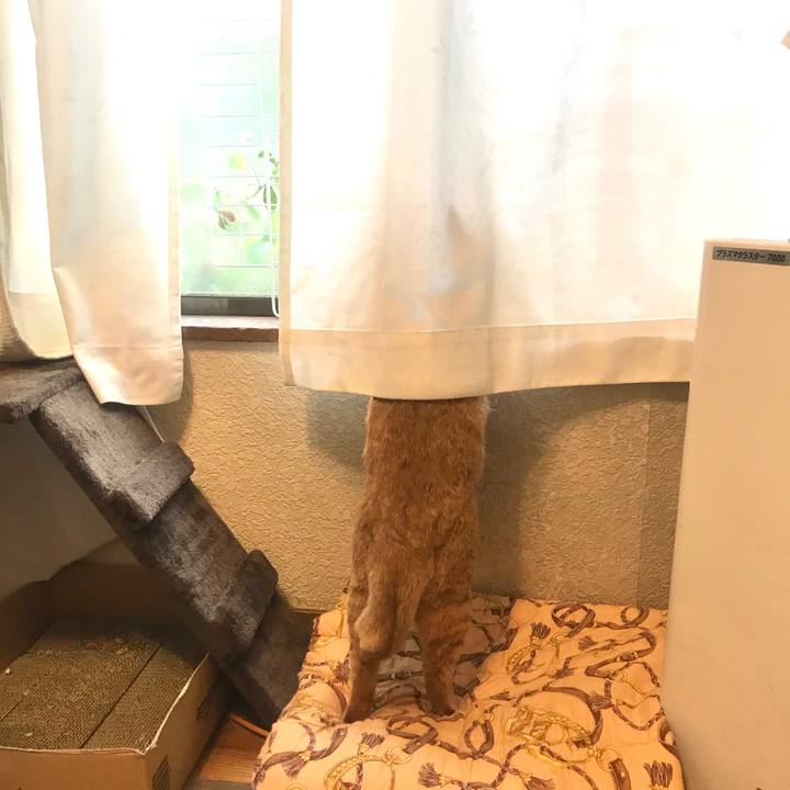 C82b3602 5ded 4dc2 a0be f16fe29c3700 1589238491899