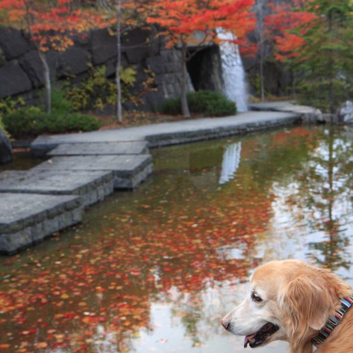 C82b4bc6 9e79 48a4 8f4e 0f26c958312d 1762301824596