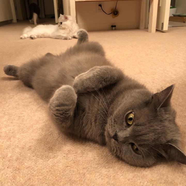 C82b79ad ab78 418a 8099 8c4bdf829b35 1530361787715