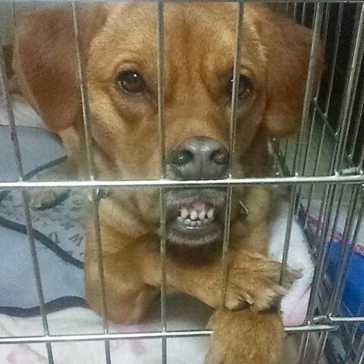 C82b7bf7 d725 4bf1 8359 a1cf4ca1198e 1548396356502