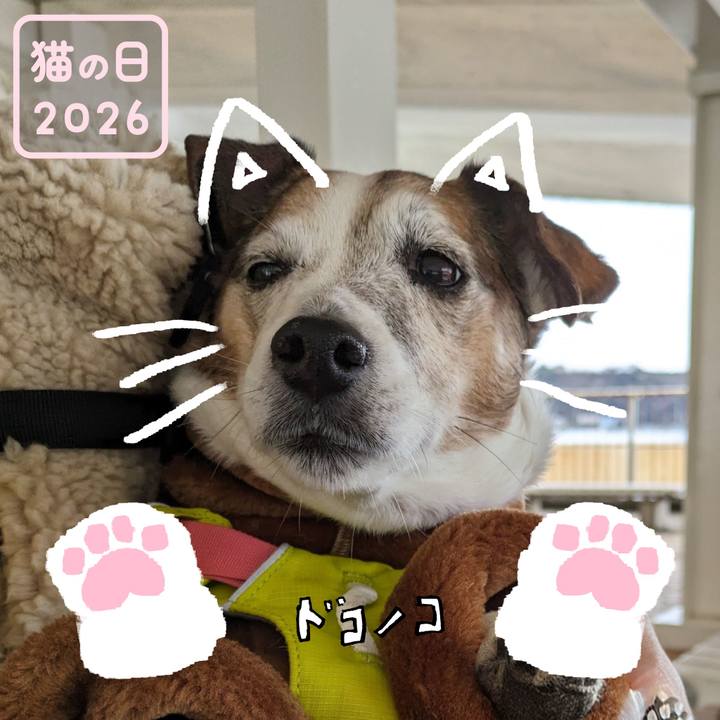 C82b9d16 03da 4021 80b6 8ba91501cbb6 1771709024574