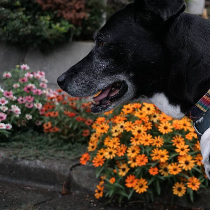 C82bcbe4 5014 48f1 8ec5 adf7fd6eeb97 1760917693117