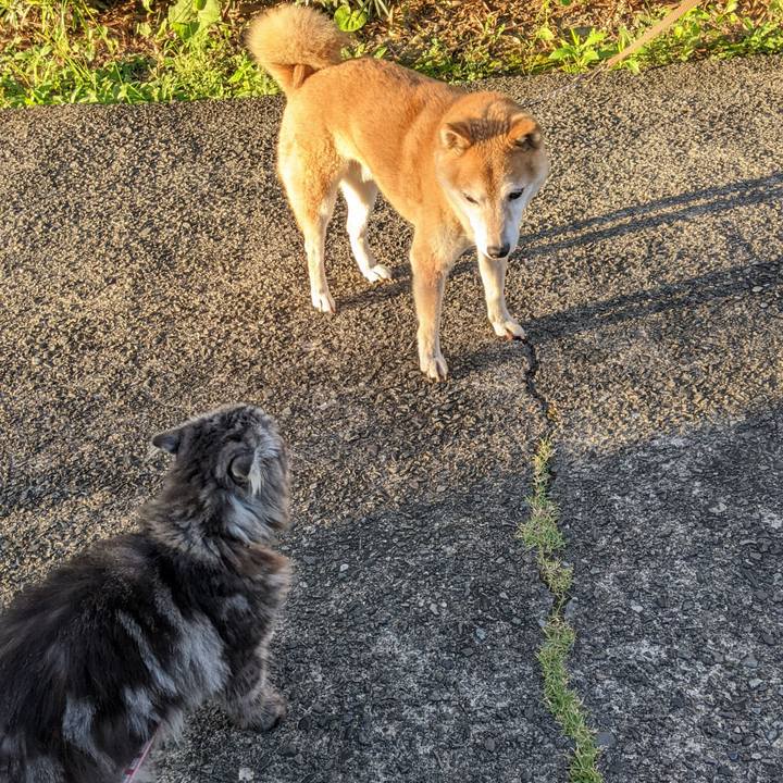 C82c2774 40f0 4709 b6a4 e3135879c54e 1726832748642