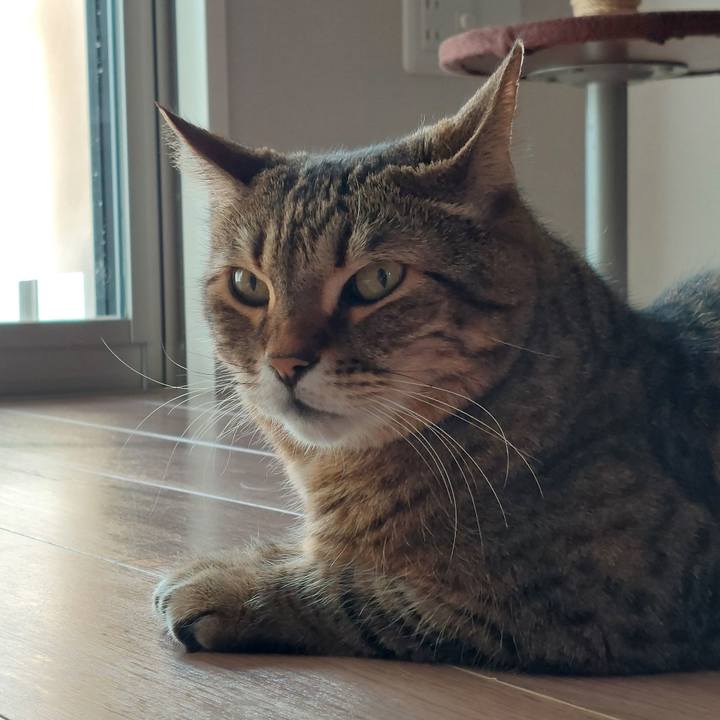 C82c2eda ac27 4210 98b4 b7f480c46660 1731903473481