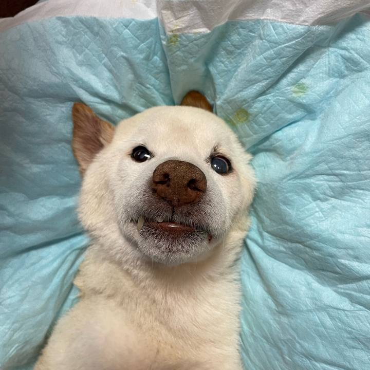 C82c3817 8d96 4650 b4e6 989910e30b50 1678793866915