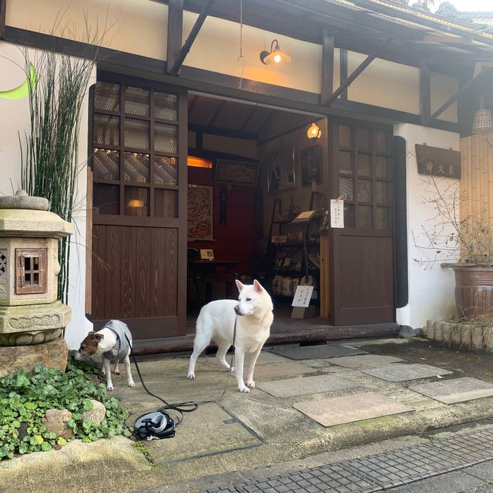 C82c4fc2 a58b 40b2 a90a 21a821854de9 1552123186230