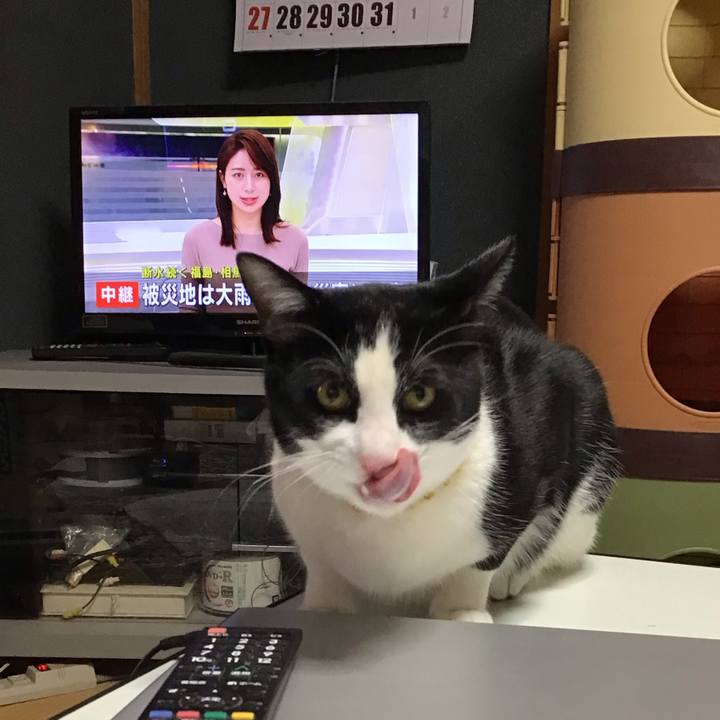 C82c5c31 1ba9 496e 9177 f6cd1e6d0a54 1647579428116