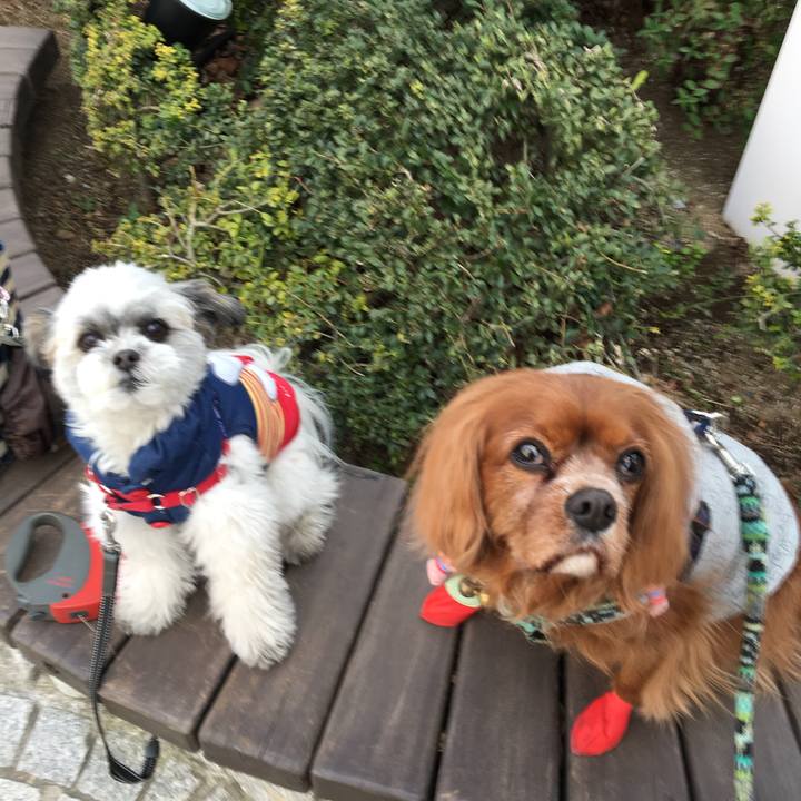 C82c7ea3 06d3 4305 a5bc 0ec1cf84348b 1518423392025