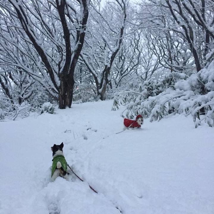 C82cdc80 8a2c 413b 9453 4813fa841d54 1610326046515