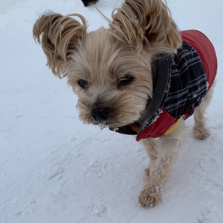 C82cde1b ffc2 4b5f ad26 ce29eab89deb 1547964931656