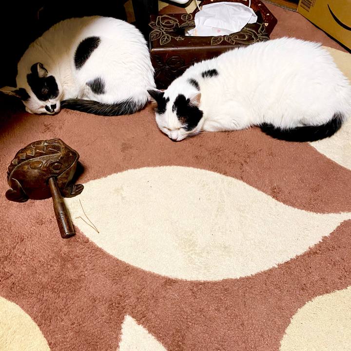 C82d2b90 ea92 43f8 bc58 403afc86c581 1613516713045