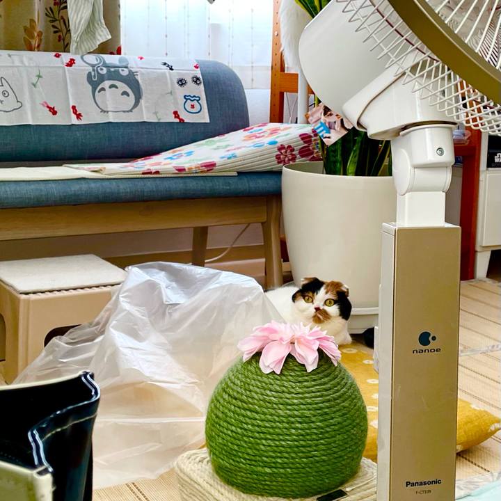 C82dbfcf b5be 4f66 bc50 c6e16f86b0ef 1657752368209