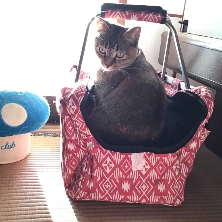 C82ddd22 7c93 4066 8be8 6397f32ad034 1615796387804