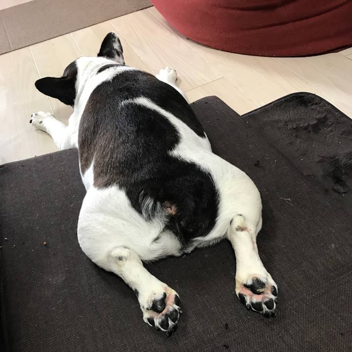 C82de5ff eb26 4021 b545 468dee584ba7 1510378540621