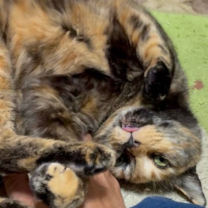 C82de8c2 d1dc 405b 9265 9aef6313922c 1747941539749