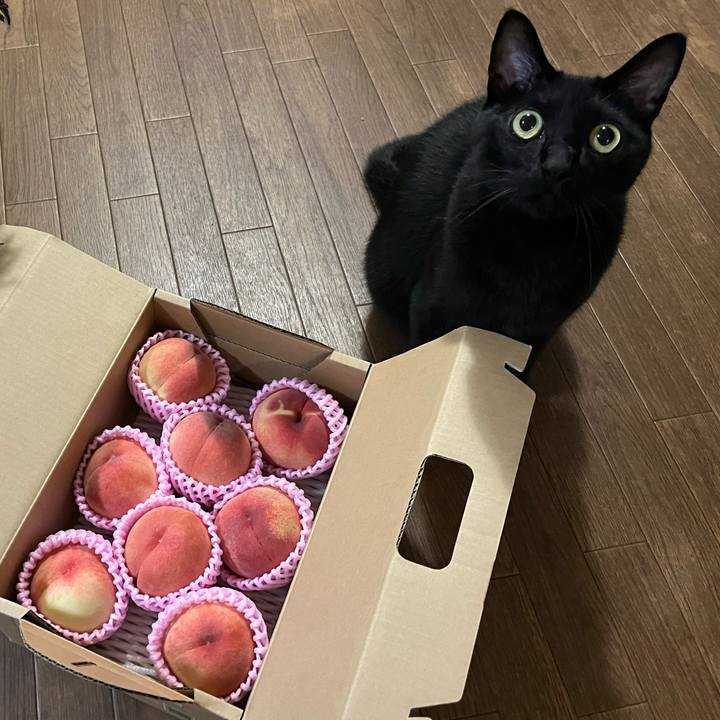 C82df3a4 056f 4be4 bd74 ba999dd06821 1690420919147