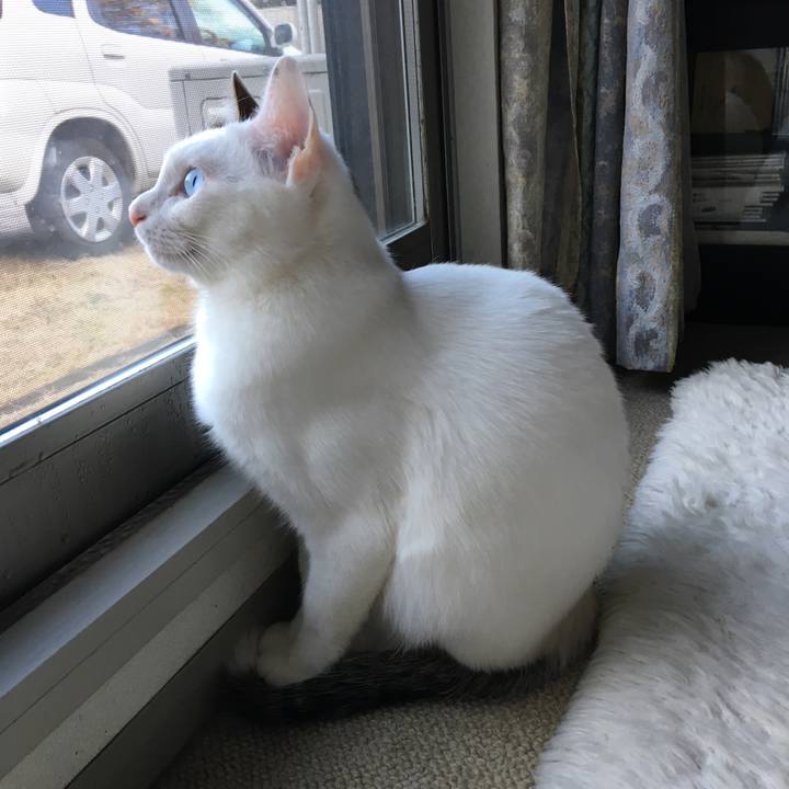 C82e2661 2b0c 4588 bb85 3a1702da3d95 1515566300230