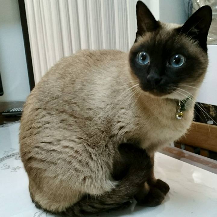 C82e2f8a a643 4d64 8f8d d0d40dd2c853 1559136252820