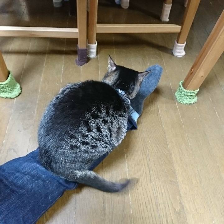 C82e3b00 5661 4a53 bf8e 5fbf96acfb05 1513863445799