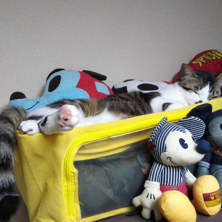 C82e9ee3 cfc7 4bc7 abc6 caf20a028ba1 1644463345508