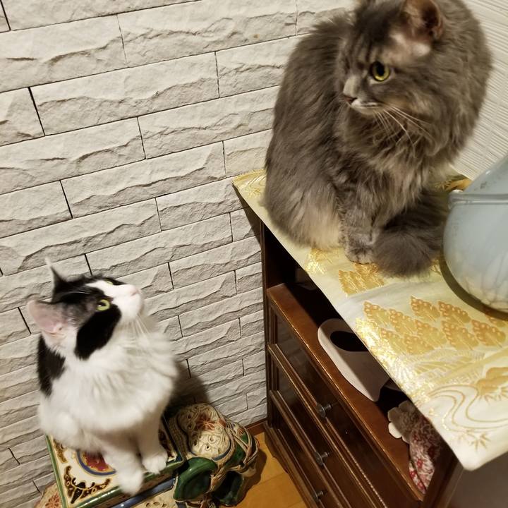 C82ea35a 8f33 4d2b 9275 739a5b93c072 1539178360649