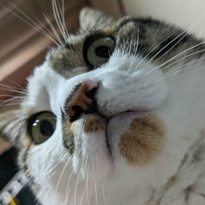 C82ead97 bf16 4104 a277 eb8533bff5ad 1717815589620