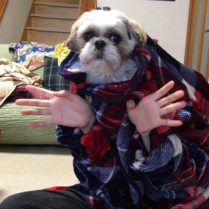 C82ecfbd bd3b 43f0 94cc 2302cb004e68 1551435821615