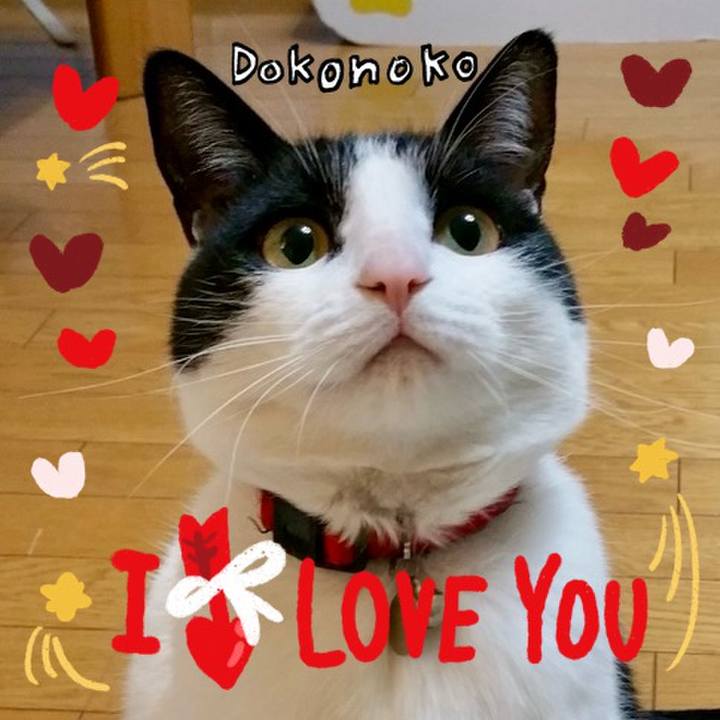 C82ede6f 6b32 4095 9f86 1ad7524067c2 1706869462421