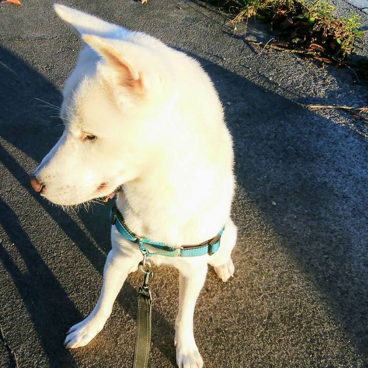 C82edf5a cba3 43ae 940b f074b0495a0e 1541418176045