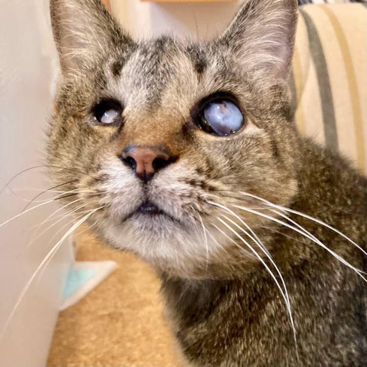 C82ef4d9 76a5 452b a284 228ca35c6b3d 1676602511664