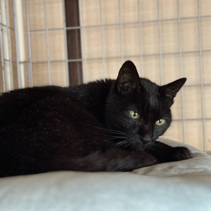 C82f2495 bd2c 46f1 a3ac 1b1ebaa03bf0 1699665237262