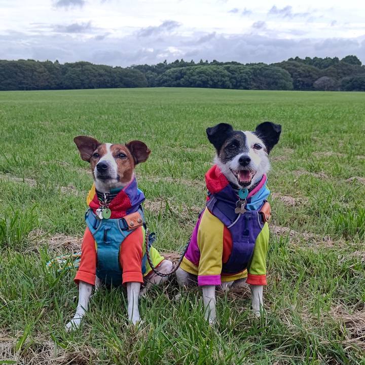 C82f2536 90b1 4f9e 84c8 3cc2f1ec94b8 1695460535257