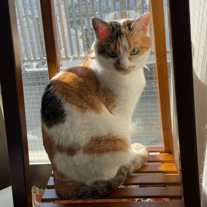 C82f281f d587 4c2a b9b0 2458715c2e55 1642306837396