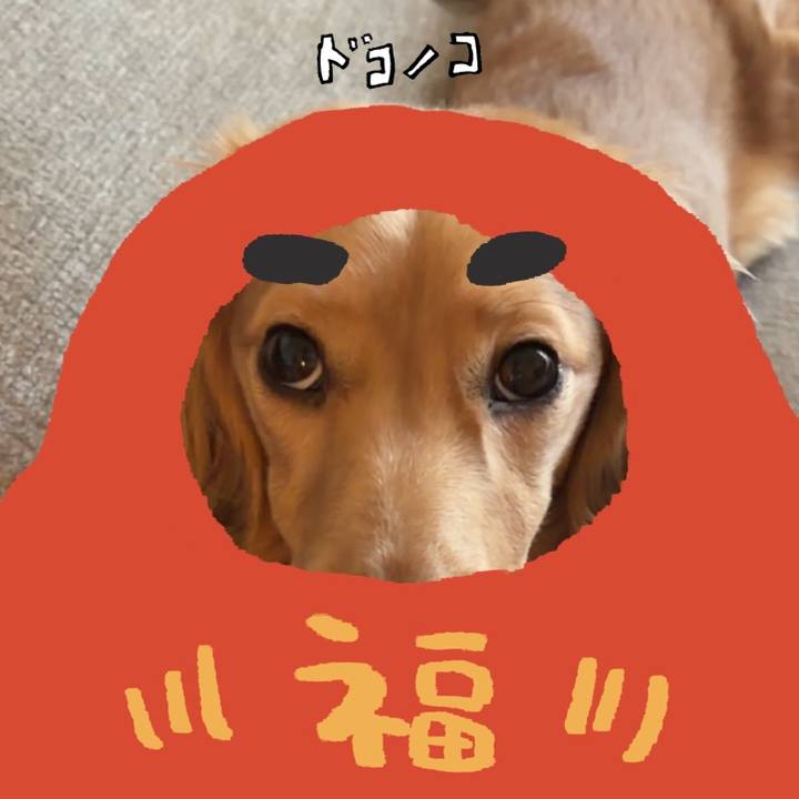 C82f4ec9 52ed 4d11 a5e9 6483e891fcae 1772009646488