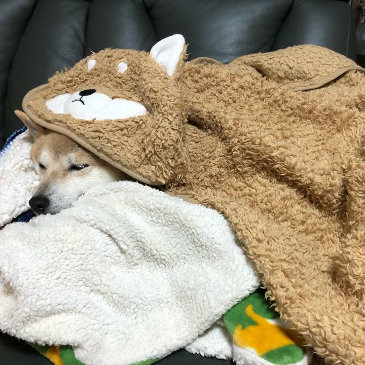 C82f64c9 19ea 4b5a adff 5eeb50a7b71c 1582815369257