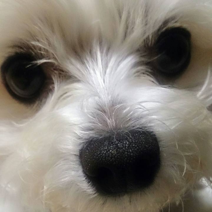 C82fa1fc b8b1 4d72 9ce9 5cc064993594 1523712844542