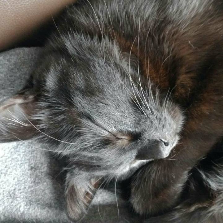 C82fe21c d139 4bd3 b88a 72d598f559ae 1538394757961