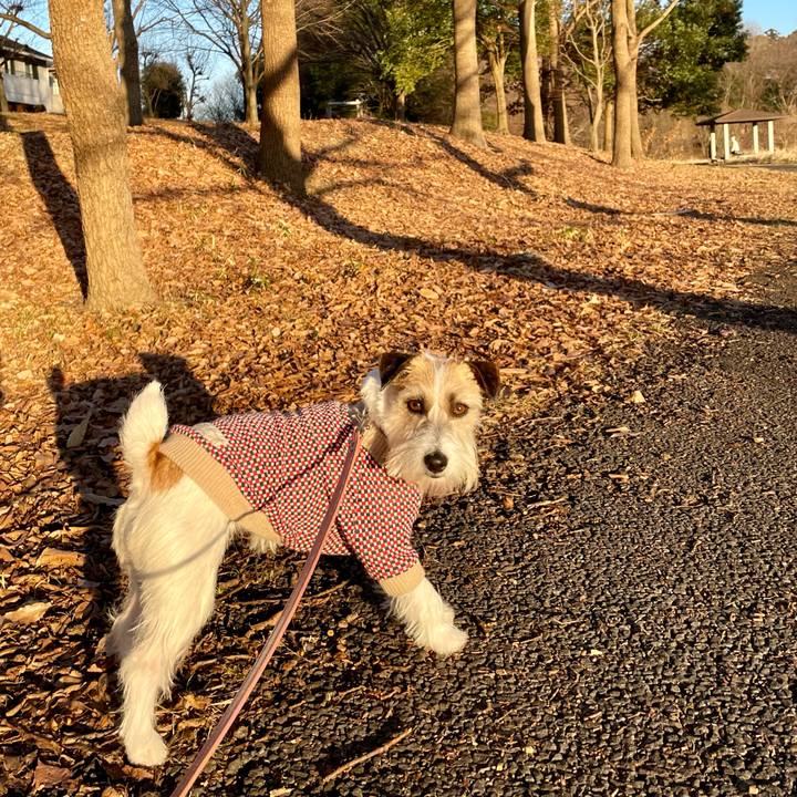 C82fe4f4 f71d 4218 a8eb 026665512262 1674214055201