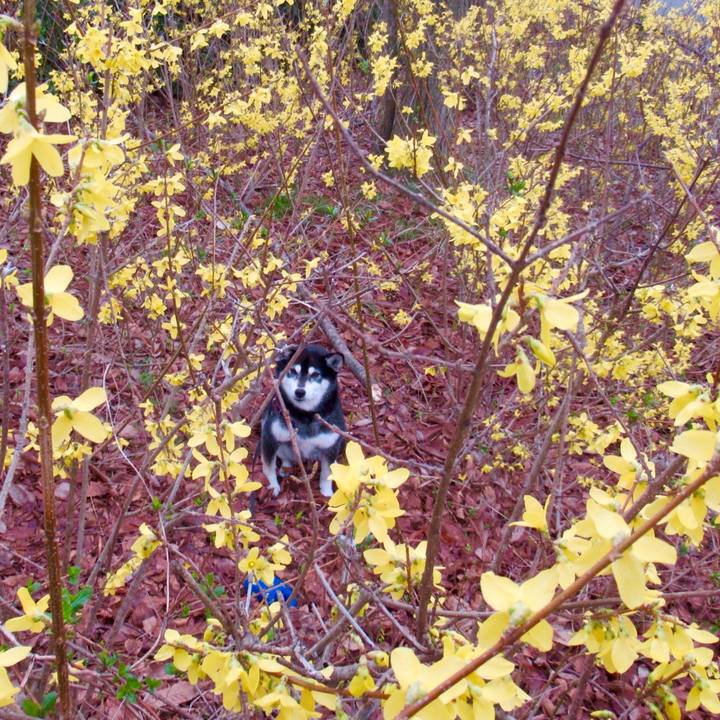 C82fe933 a3e9 4fc9 bade 895106dd3ddf 1616729940758