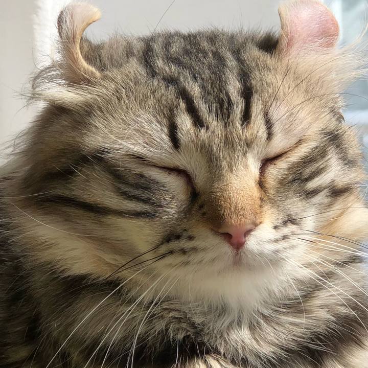 C8301928 fe0c 4d90 89b7 870e84159d65 1521849547544