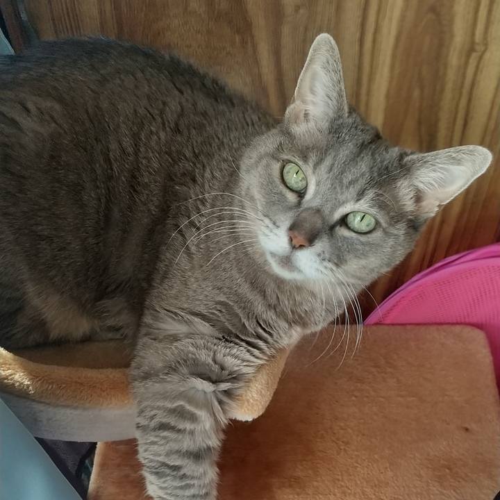 C8301b43 5fb2 493a 90a8 68f21f6c8c4e 1642306788015