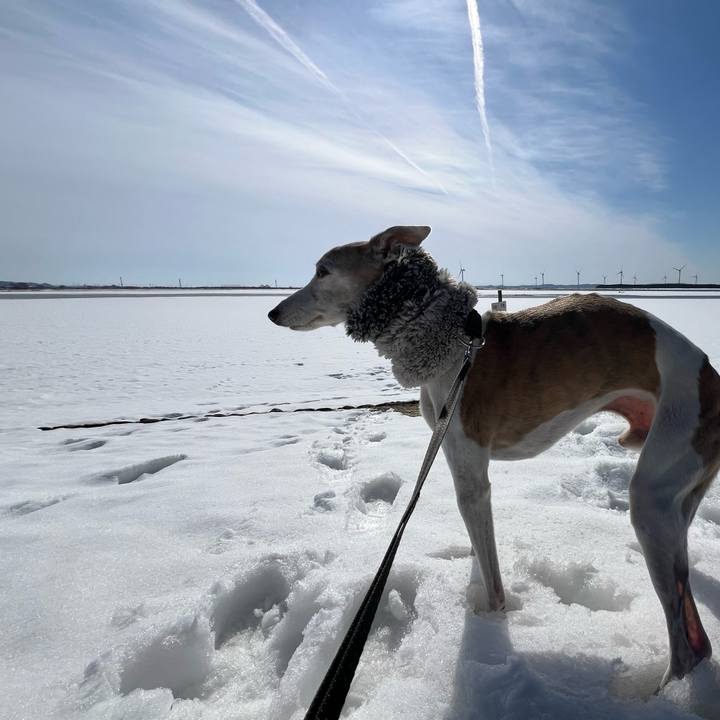 C8302117 2ee0 4af3 815c 972429aba275 1772007483735