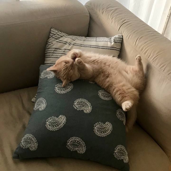 C830536f 549a 4c1c ae72 e42d6f9ce270 1543624337723