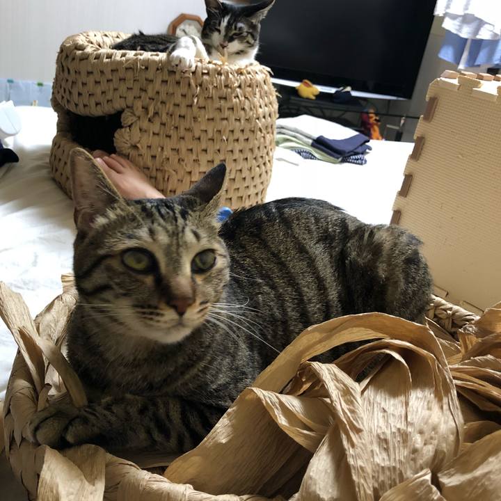 C8307edf a670 4550 add0 aeb4aa98abff 1530301016200